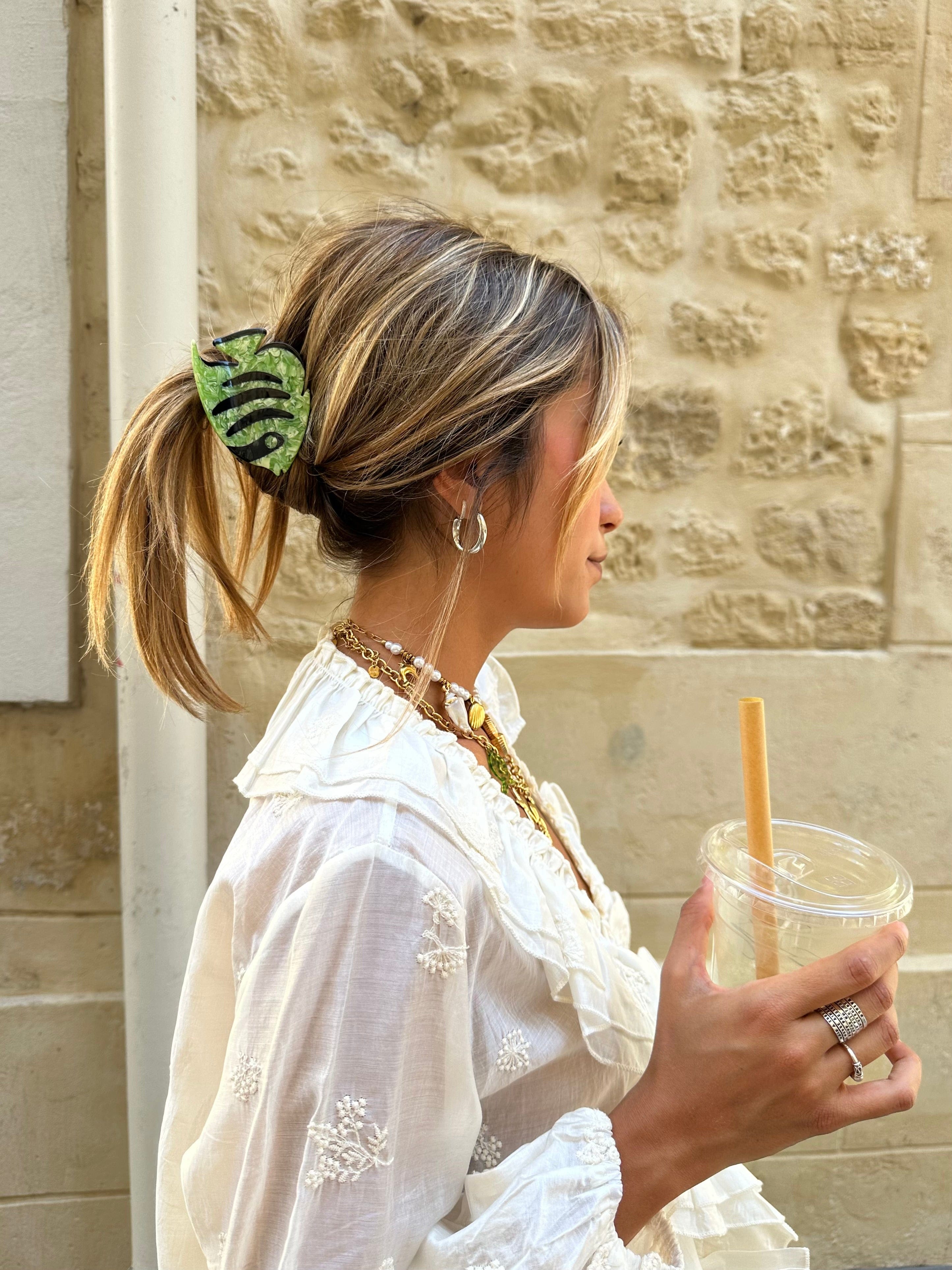 Maurice paris Pinces de la MER